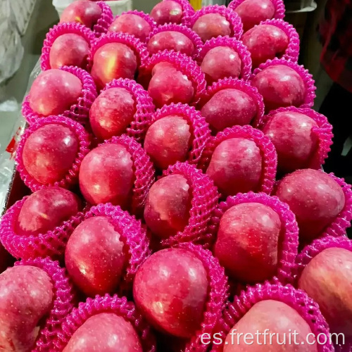 Manzanas frescas de alta calidad